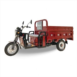 Triciclo Eléctrico de Carrocería Abierta Barato al por Mayor de Fábrica para Uso de Pasajeros Adultos - Product Image 1