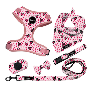 Aksesoris Jalan-Jalan Anjing Grosir Berkualitas Tinggi Set <span class=keywords><strong>Harness</strong></span> Hewan Peliharaan Logo Merek Kustom - Product Image 1