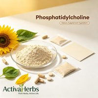 Poudre de Phosphatidylcholine de Haute Pureté 50% 90% 98% Extrait de Lécithine de Soja en Poudre PC pour la Santé Hépatique – Approvisionnement en Vrac