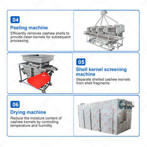 โรงงานผลิตเม็ดมะม่วงหิมพานต์โอเชียนไชน่า ระบบอัตโนมัติเต็มรูปแบบ สายการผลิตเม็ดมะม่วงหิมพานต์ดิบครบวงจร - Product Image 4