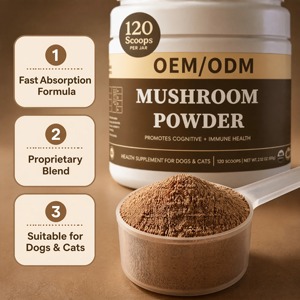 Mezcla de Hongos Orgánicos Patentada OEM para Perros y Gatos, Apoyo Inmunológico, Salud Cognitiva, Suplemento en Polvo de Rápida Absorción - Product Image 2