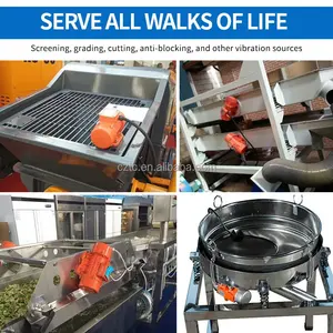 Ricambi per Pompa per Calcestruzzo Schwing, Vibratore 12V 24V 10072108 10072107 98416044, Garanzia di 1 Anno, Cina - Product Image 3