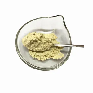 Bio-Gemüse Dehydriertes Gemüse Japanisches Wasabi-Pulver Meerrettich pulver Getrocknetes Gemüse für Zutaten für Snacks