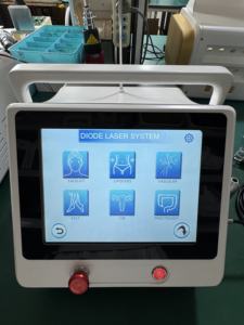 Láser de Dermatología para Pérdida de Grasa 2026, 1470nm 980nm, Endoláser, Liposucción, Lifting Facial y Corporal, Cánula de Fibra, Dispositivo para Adelgazar - Product Image 2