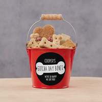 Seau cadeau de toilette de bain d'anniversaire de chien Mini personnalisé chien traiter rouge seau de nourriture pour animaux de compagnie en métal avec manche en bois
