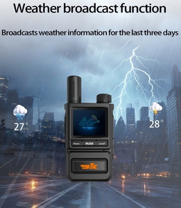 DK-L2 4G LTE palmare Walkie Talkie 5000km chiamata <span class=keywords><strong>Intercom</strong></span> <span class=keywords><strong>Wireless</strong></span> globale POC Radio compatibile scheda Sim - Product Image 3