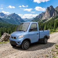 Nouveau petit pick-up électrique, véhicule à quatre roues entièrement fermé, nouvelle énergie, double usage pour le transport de marchandises et la livraison