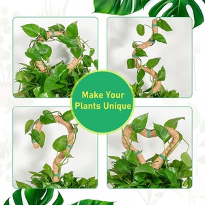 Piquet de plante de coco moderne réglable grand poteau d'escalade de jardin carré pour <span class=keywords><strong>Pot</strong></span> de <span class=keywords><strong>fleur</strong></span> classique flexible intérieur/extérieur - Product Image 6