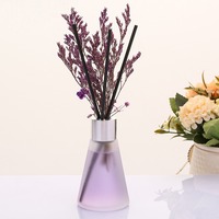 50ml vide désodorisant arôme verre bouteille de parfum roseau diffuseur pot décoration de la maison bouteilles de parfum