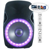 Altavoz Karaoke Profesional de 15 Pulgadas y 1000 W con Alimentación por Audio, TWS, Iluminación LED para Fiestas, Soporte, Micrófono, Batería y Micrófono Inalámbrico, Bocina Parlante