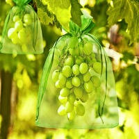 Recycelbarer insekten sicherer Netz samen beutel Neues Design Obsts chutz Organza für Trauben frucht-und Samen textil verpackungen