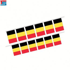 2025 Football Events 5.5x8 Inches Austria String Bunting <b>Flags</b> Wholesale Polyester Indoor and Outdoor Decoration 20pcs/set - Product Image 3