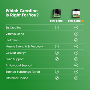 Poudre de créatine, créatine de lactosérum, gain de masse, faible MOQ, BCAA, sachets <span class=keywords><strong>Optimum</strong></span> <span class=keywords><strong>Nutrition</strong></span>, micronisée, logo personnalisé, poudre de créatine Met - Product Image 3