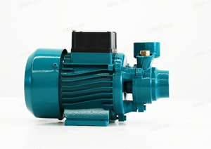 Pompe à vortex QB50, pompe à eau électrique de surface <span class=keywords><strong>pour</strong></span> l'irrigation agricole, l'<span class=keywords><strong>arrosage</strong></span> des jardins, haute efficacité, fournitures agricoles - Product Image 6