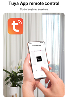 Système de rideaux intelligents TYSH Tuya WiFi/Zigbee, commande vocale, contrôlé par application, construction métallique, capacité de charge de 50 kg