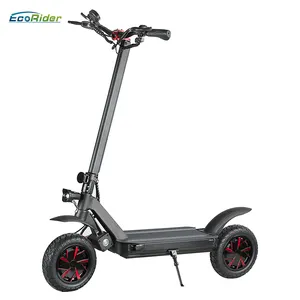 EcoRider E4-9 60v Voltage and Yes Foldable 2 wheel electric scooter with seat