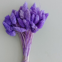 Herbe préservée couronne d'épines Arrangement de fleurs sèches mariage matériel de bricolage Bouquet de plantes séchées naturelles