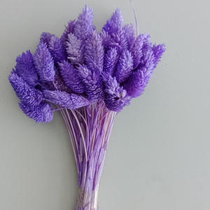 Konserviertes Gras Krone der Dornen Trocken blumen arrangement Hochzeit Diy Material Natürlicher getrockneter Pflanzens trauß - Product Image 4