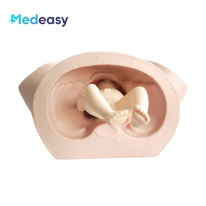 Simulador de Entrenamiento de Partería Médica, Maniquí de Entrenamiento de Parto, Modelo de Parto para Enfermería Ginecológica - Product Image 5