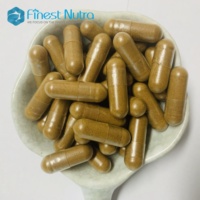 Capsules de plantes en vrac 400 mg Capsules de poudre de champignon Reishi