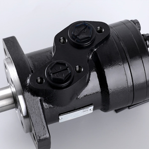 Moteurs hydrauliques à piston orbitaux de remplacement BMR BMT OMPX OMR OMT, modèles BMR50/80/100/125/200/315, bon prix - Product Image 6