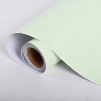 Film vinyle adhésif lumineux de nuit photoluminescent Fluorescent Roll Green Light pour les panneaux de sortie de secours Glow in the dark