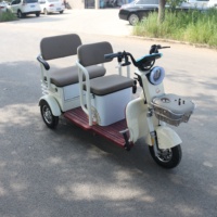 Triciclo Eléctrico Compacto de Larga Duración de Batería, Dimensiones de 140 cm, Motor de 650 W/800 W para Paseos Urbanos Tranquilos