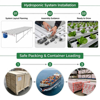 Système hydroponique NFT intelligent pour l'agriculture verticale à haute efficacité avec contrôleur de solution nutritive pour gouttières PVC NFT