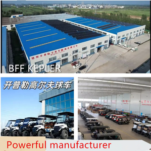 BFF Kepler voiturette de golf électrique tout-terrain capacité de 4 passagers avec batterie au lithium 48V DOT CE CEE approuvé <span class=keywords><strong>Buggy</strong></span> Scooter - Product Image 6