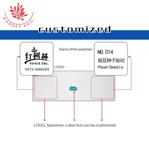 Material Escolar 25 Piezas Botánica General y Zoología Diapositivas Preparadas - Product Image 6