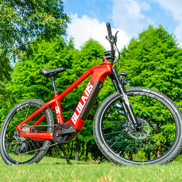BLULANS S6 Lite - 36V 250W Electric Bike with 10 Speeds