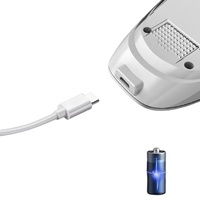 USB-Ladungs flusen entferner ABS Tragbarer wiederauf ladbarer Mini-Pullover-Flusen entferner
