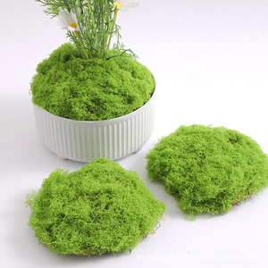Musgo Artificial Verde, Planta Simulada, Decoración de Paisaje en Miniatura, Césped Artificial, Bonsái en Maceta, Adorno de Superficie, Manualidades DIY - Product Image 4