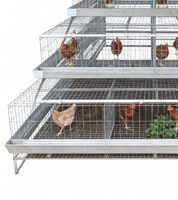 Cage à poules pondeuses de type A avec réservoir d'eau en plastique, installation facile, cage en batterie pour l'élevage avicole