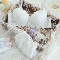 Ensemble de lingerie en dentelle de haute qualité, soutien-gorge et culotte, jolies filles, mignon, soutien-gorge japonais à armatures, soutien-gorge push-up en dentelle