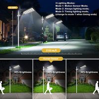 Lampadaires solaires LED à induction avec contrôle de la lumière, étanches IP65 pour l'extérieur, 100W 150W 200W 250W 300W