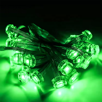 20mm DC12V RGB Rgbw LED Pixel Light Punto impermeable Cuerdas de luz Luces de pista de Navidad permanentes