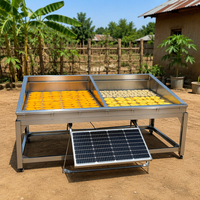 Séchoir solaire professionnel en acier inoxydable de 30 kg pour fruits (mangues, bananes, ananas) – Idéal pour le séchage au Nigeria et au Ghana