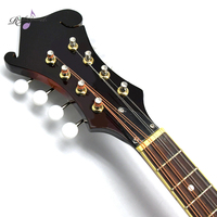 Groupe de Mandolin acoustique à 8 cordes, pour groupe de musique, commandes au soleil