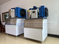 Machine à glace en flocon pour poisson 500kg par jour Machine à glaçons en flocon