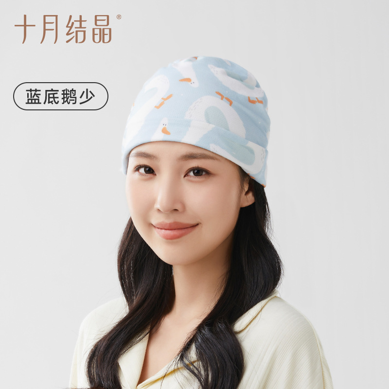 Blue background geese