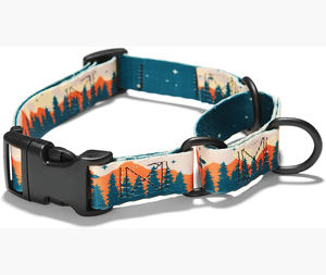 작은 중형 대형 개를위한 <span class=keywords><strong>Martingale</strong></span> 개 목걸이 - Product Image 6