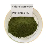 Poudre de chlorelle biologique à haute teneur en protéines, contrôle de haute qualité