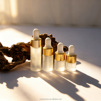 Flacons compte-gouttes en verre rechargeables haut de gamme de 1 à 10 ml – Bouteille givrée avec bouchon compte-gouttes doré pour sérums de soin de la peau