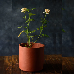 Handcrafted Patina Passion Terracotta Planters <b>Set</b> of 2 for Indoor Outdoor Balcony Terrace Garden Home Décor Rustic <b>Clays</b> - Product Image 2