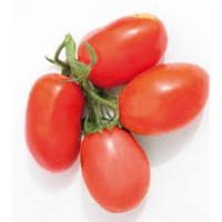 Premium F1 Hybride Rode Ovale Tomatenzaden 99,9% Zuiverheid 90% Kiembaarheid Moon Star BIGRO Hoge Opbrengst Ziektebestendig Commerciële Oogst