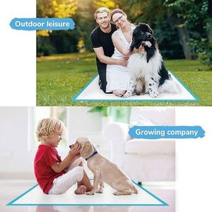 Tapis d'entraînement jetables pour chiots en tissu non tissé écologique, vente en gros Chine, pour usage extérieur quotidien - Product Image 2