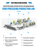 Ligne de production de riz artificiel nutritif CE pour usage commercial, capacité de production personnalisée pour les projets de programmes d'aide alimentaire
