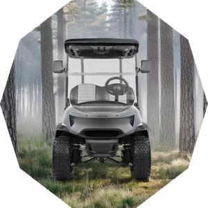 รถกอล์ฟไฟฟ้าสำหรับล่า4X4 150A 4ที่นั่ง - Product Image 2