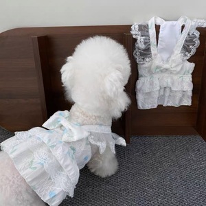 Spring Summer Floral Lace Dress For Small Medium Dogs Breathable <b>Princess</b> Cut Pet <b>Clothes</b> - Product Image 3